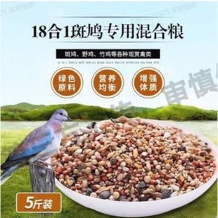 斑鸠粮食饲料粮鸽子饲料鸽粮竹鸡粮粮粮鸟食包邮玉米稻谷豌豆幼鸽