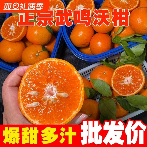 [补贴]广西正宗武鸣沃柑新鲜桔子应季水果橘子当季非沙糖桔皇帝柑