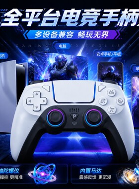 适用PS5手柄无线蓝牙体感震动