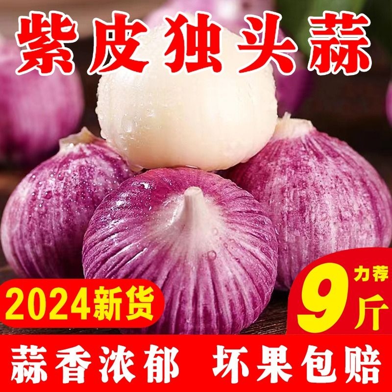 2024新独头蒜大蒜头新鲜紫皮独蒜湿红珍珠辣干蒜5斤蔬菜当季 水产肉类/新鲜蔬果/熟食 大蒜 原图主图