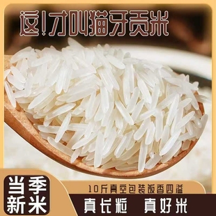 粮园道猫牙贡米5kg真空包装 猫牙米正宗长粒山泉水香米10斤煲仔饭