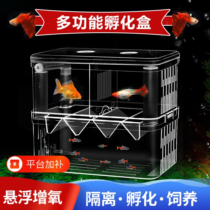 鱼缸隔离盒孵化盒孔雀鱼凤尾繁殖盒小鱼苗幼鱼鱼苗缸外产房孵化器