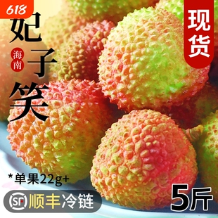 海南妃子笑荔枝新鲜热带水果当季现摘时令纯甜应季大整箱顺丰5斤