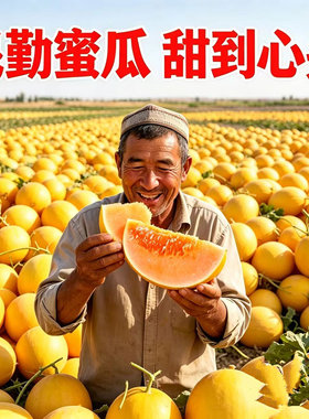 爆甜甘肃民勤沙漠蜜瓜金红脆蜜瓜水果当季黄皮甜瓜9斤装批发包邮