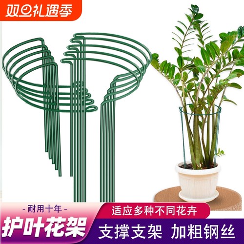 铁艺防倒伏花架|超6000次加购