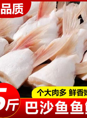 新鲜冷速急冻巴沙鱼鳍鱼肥油鲜活翅鮰鱼腩烧烤商用水产