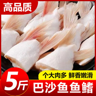 新鲜冷速急冻巴沙鱼鳍鱼肥油鲜活翅鮰鱼腩烧烤商用水产