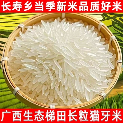 梯田猫牙米寿乡农家长粒香丝苗米