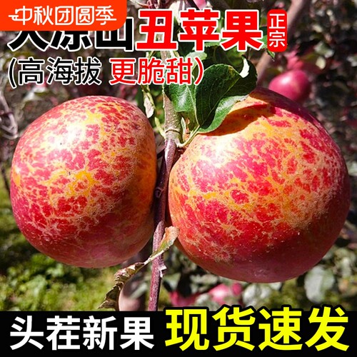 大凉山丑苹果现摘当季2026新鲜红