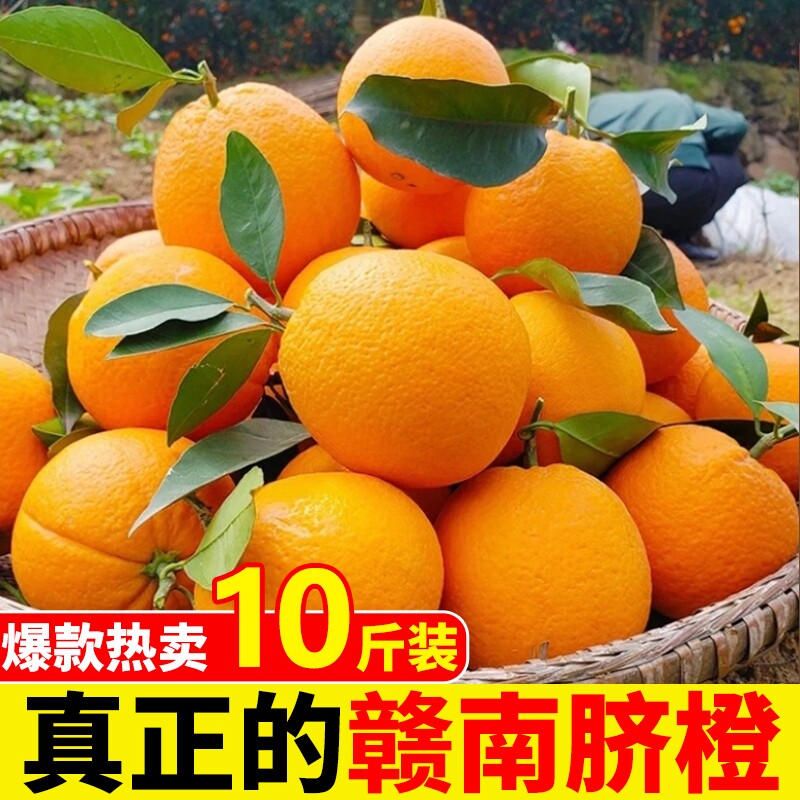 正宗赣南脐橙江西当季现摘新鲜橙子果园农场直发榨汁水果甜橙年货