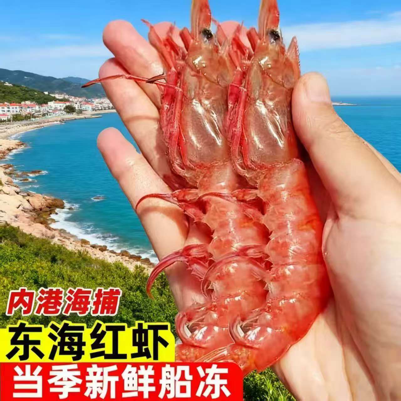 特大号东海新鲜急冻野生大红虾宁波象山本地海虾船冻2盒装500g