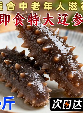 即食海参大连辽刺参鲜活非干货顺丰冷链肉质Q弹特大参滋补养殖