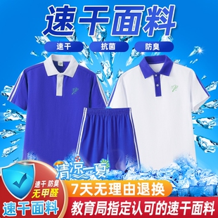 深圳校服小学生速干防臭面料中学生初中生速干校服短袖 夏季 短长裤