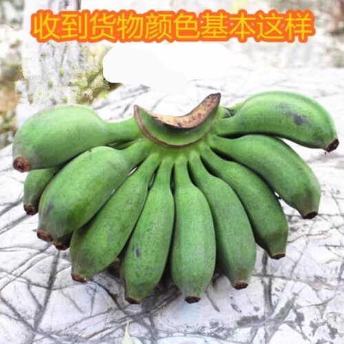 广西小米蕉青皮发货自行催熟