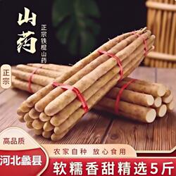 铁棍山药新鲜淮山药铁杆山药小白嘴现挖山药5斤非温县垆土怀山药