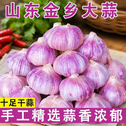 紫皮26年新大蒜头干蒜特大蒜瓣种子红皮蒜农家自种自提农场新鲜