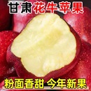 脆粉两吃花牛苹果甘肃天水特产健康宝宝辅食不打蜡孕妇吃应季 水果