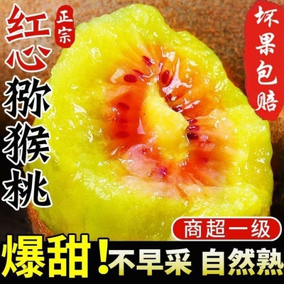四川蒲江红心猕猴桃新鲜奇异果大果整箱水果狝猴桃时令孕妇弥猴桃