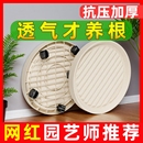 可移动加厚移动花盆托盘带轮底座万向轮塑料底托滚轮盆栽滑轮底部