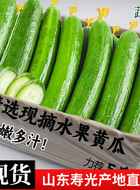寿光新鲜黄瓜现摘生吃带刺农家种植当季山东绿心优质蔬菜当日