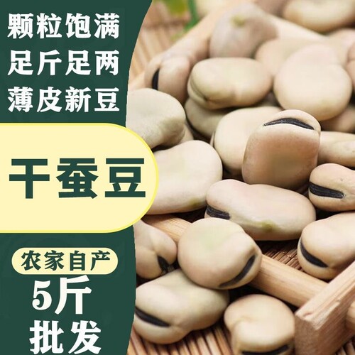 生的干蚕豆云南农家新货胡豆新鲜五谷杂粮粗粮可发芽种子干蚕豆