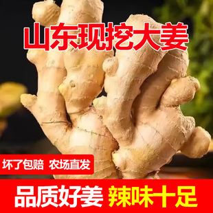 正宗山东生姜老姜大姜新鲜农家黄姜月子干姜农家种植姜块