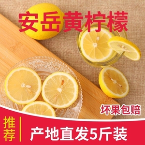 志果果四川安岳黄柠檬单果60g+泡水柠檬多规格