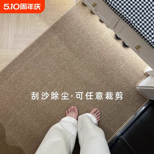 仿剑麻入户门地垫地毯进门玄关门