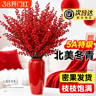 进口北美冬青红果真花鲜切花红豆鲜花室内水养植物花卉银柳年宵花