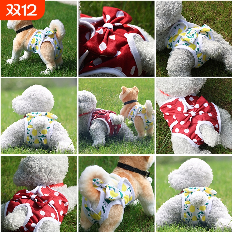 宠物生理裤宠物用品艾特宠