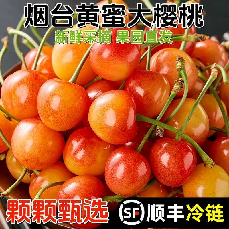 山东黄樱桃露天烟台黄水晶黄色黄蜜国产黄金雷尼车厘子5水果新鲜