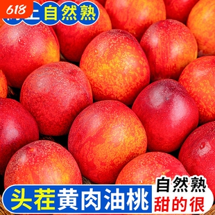 湖北襄阳  正宗油桃现摘应当季新鲜水果桃子脆甜红黄皮整箱头茬