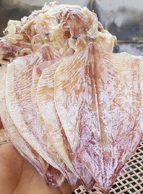 广西北海芥末手撕鱿鱼干干货烧烤专用即食炒菜煲汤海鲜干货