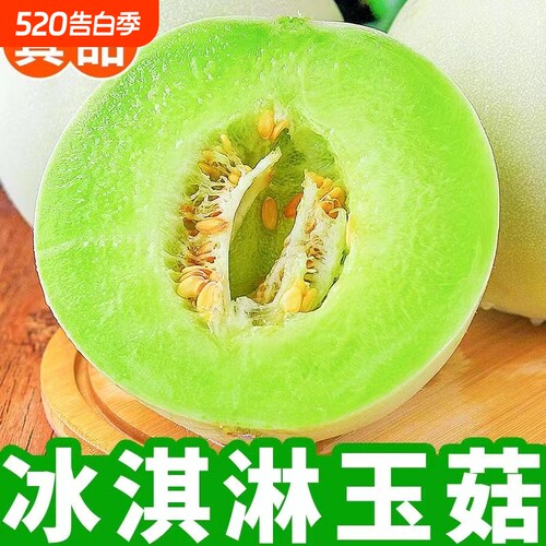 头茬冰淇淋玉菇甜瓜新鲜水果当季软糯多汁农家白香瓜玉茹现摘现发