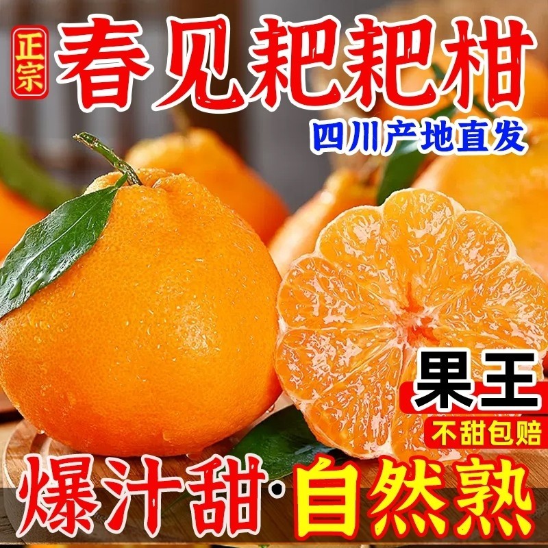 四川春见耙耙柑粑粑柑10斤新鲜水果橘子当季整箱杷杷柑特大果无籽,水产肉类/新鲜蔬果/熟食,桔子,淘宝优惠券,粉丝福利购,淘宝优惠卷