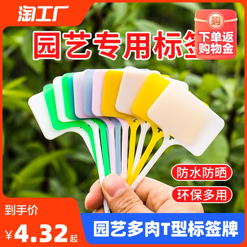 园艺标签t型多肉植物花卉地插牌塑料防水苗木定制花盆标识牌防雨属于什么档次？