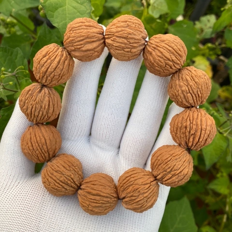 文玩核桃手串 小核桃手链 天然原色老树金丝猴头核桃文玩猴头单圈