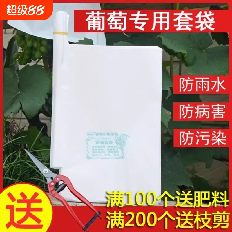葡萄专用套袋葡萄袋子葡萄果袋纸袋侧开门水果套袋杨桃袋水晶提子