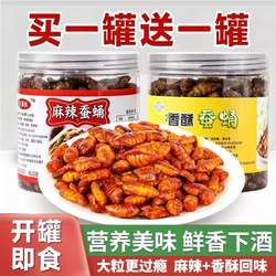 麻辣香酥蚕蛹香辣蚕蛹油炸五香蚕蛹脆蚕蛹开罐装即食小吃