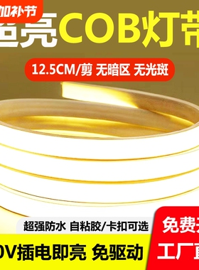 led灯带220v超亮防水自粘线形灯槽家用客厅吊顶氛围cob户外软灯条