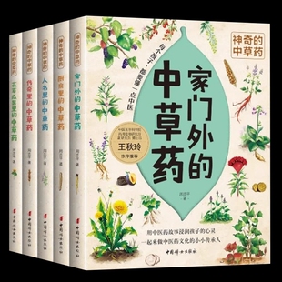 家门外 厨房里 知识科普绘本正版 中草药 书籍 花草瓜果里 全5册 传奇里 神奇 人名里