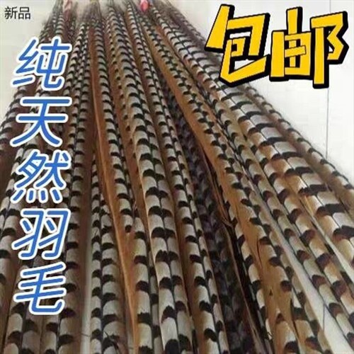 戏曲翎子京剧越剧豫剧武生武旦孙悟空齐天大圣头冠真翎子羽毛舞蹈