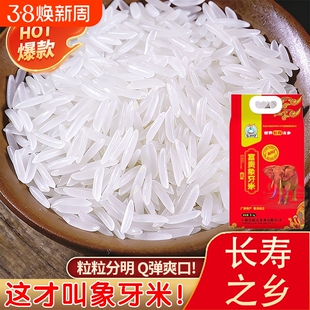 广西长寿之乡上林大米2025年新米象牙象米农家长粒香米猫牙米10斤