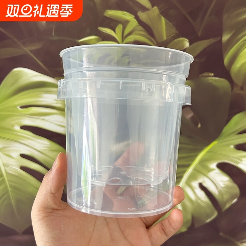 塑料花盆半透气外盆蝴蝶兰花套盆控根家用高透明水培镂空石斛花盆