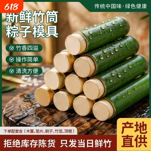 纯绿色手工竹筒粽子模具家用商用夜市摆摊新鲜竹子制作竹筒糯米饭