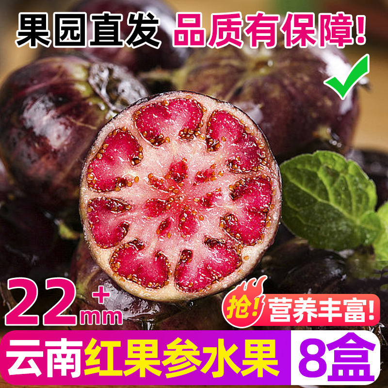 云南红果参当季蜘蛛果新鲜水果稀罕见现摘算盘果高原当季整颗食用