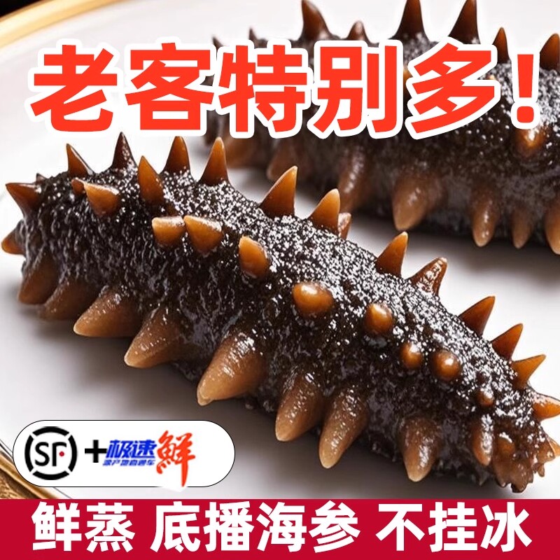 海参大连即食刺参冷冻海刺参500g水产滋补食物底播年货礼盒装送礼