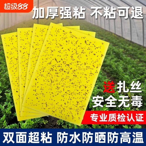 粘虫板黄板双面大棚强力粘蚊贴果园苍蝇诱粘剂小飞虫果蝇贴诱捕器