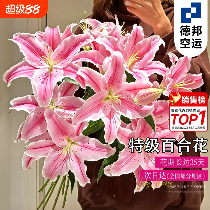 鲜花香水百合云南昆明基地直发玫瑰鲜切花真花批发花束插花重瓣图片