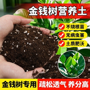 金钱树专用土营养土肥料种花盆栽土养花有机土壤种植土疏松泥土